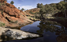 Leopold Fiala Photography